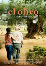 El Olivo - Der Olivenbaum